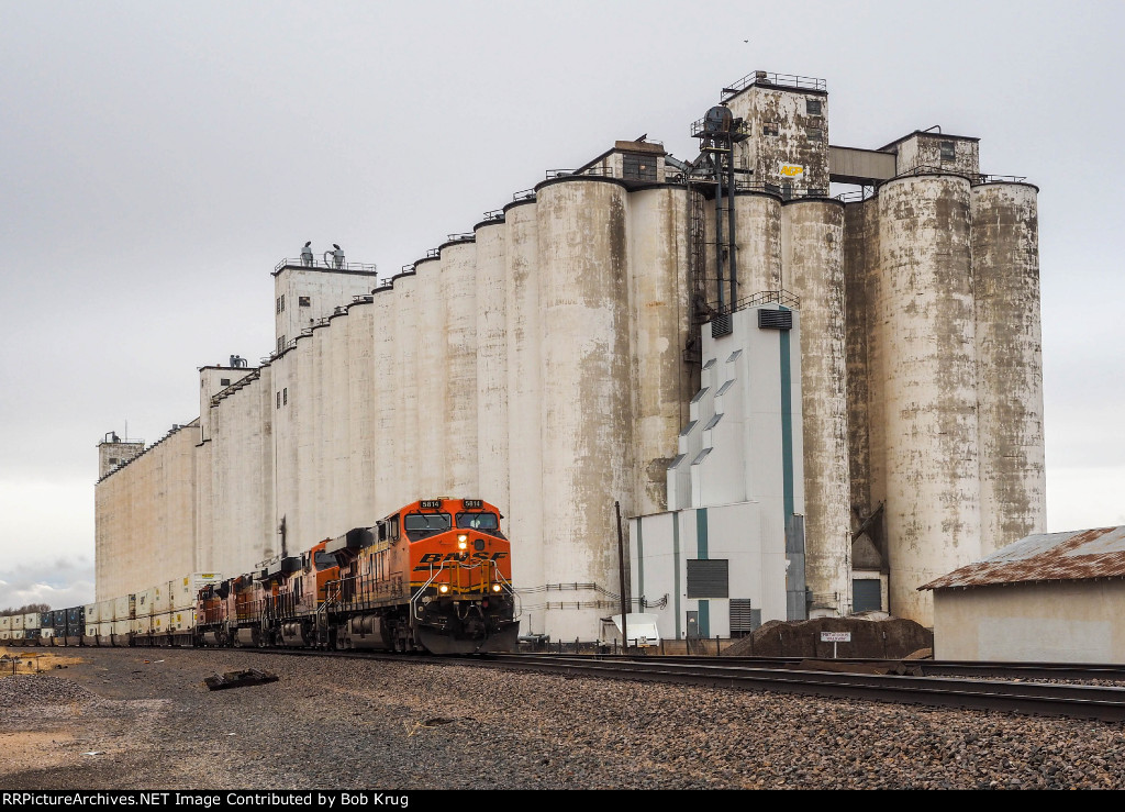 BNSF 5814 leads eastbound stacks past the grain elevators in Bovina